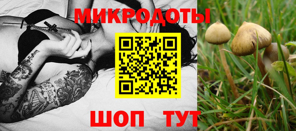 Галлюциногенные грибы прущие грибы  Вход с VPN  что такое наркотик  Павловский Посад 