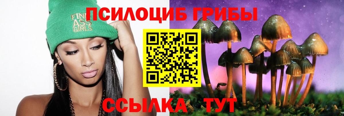 Псилоцибиновые грибы Psilocybe Павловский Посад